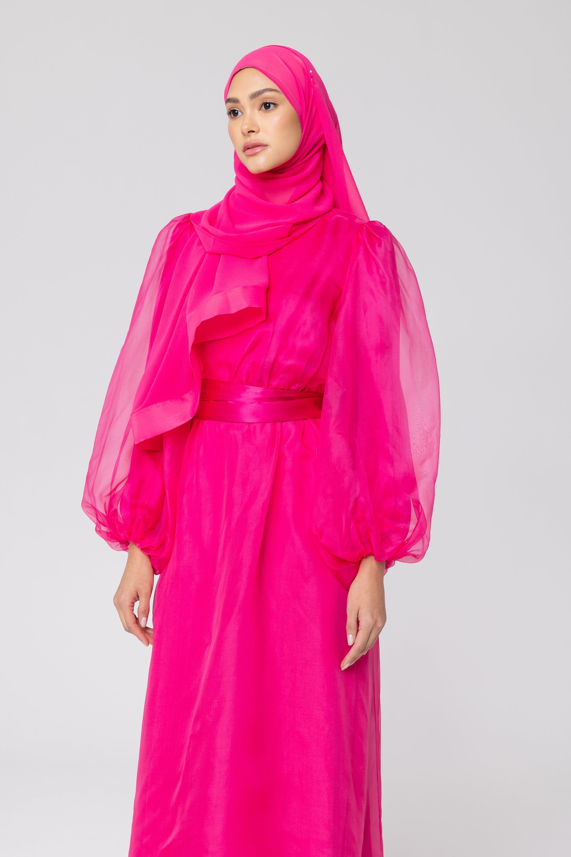 Silk Organza Balloon Sleeve A-Line Maxi Dress - Pink Veiled Collection 